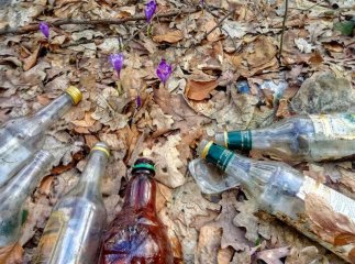 У мережі показали шафранові поляни, які встелені сміттям