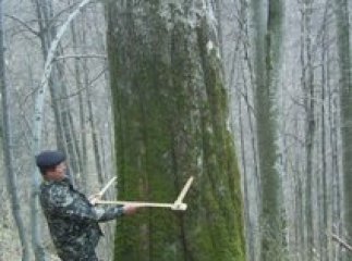 У НПП "Синевир" відбулася презентація нового фільму "У нетрях Синевирських пралісів" (ВІДЕО)