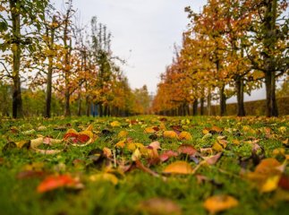 Чи повернеться в Україну тепло: що кажуть синоптики