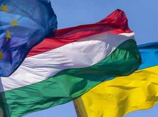 В Угорщині повідомили, чи відправлятимуть українських чоловіків додому