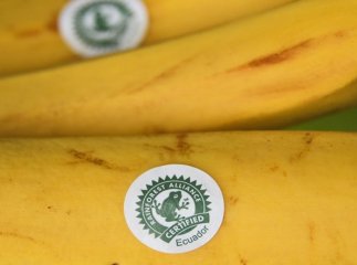 Бачили багато разів: що означає символ жаба на продуктах