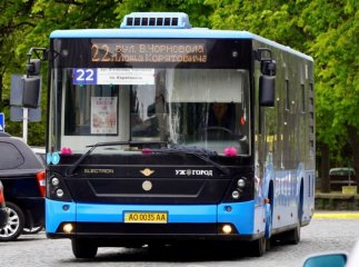 Автобуси Ужгорода отримали особливе оновлення перед «Сакура Фестом»