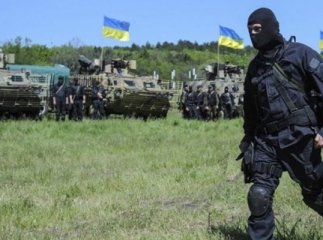 Закарпатських бійців АТО вже чекають в органах соцзахисту за місцем проживання