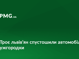 Троє львів’ян скоїли крадіжку з автомобіля ужгородки
