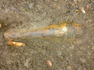 На Міжгірщині туристи в лісі виявили мінометний снаряд