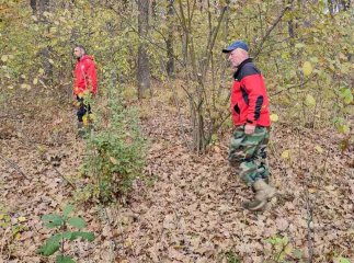 Протягом неділі рятувальники тричі виїжджали на пошуки зниклих грибників