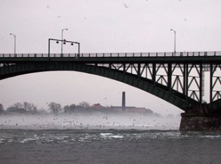 На Перечинщині дівчина намагалась покінчити життя самогубством стрибнувши з мосту