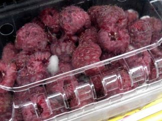 Ужгородців неприємно здивувала пліснява малина, яка знаходиться на прилавках одного із супермаркетів