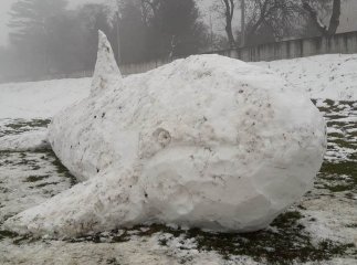 Сніжно-білий Мобі Дік: у Мукачеві невідомі зліпили величезну снігову скульптуру