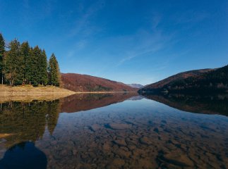 Створено ландшафтний заказник "Берег Закарпатського моря"