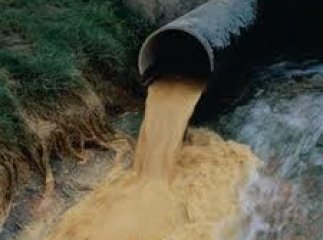 Через забруднення Латориці "Мукачівводоканал" завдав збитків державі на суму понад 50 тисяч гривень