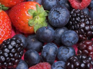 На літніх канікулах студенти заробляють гроші, збираючи ягоди за кордоном