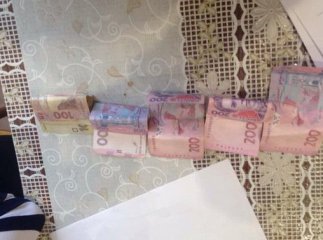 На Мукачівщині дама з собачкою обікрала ветеринара