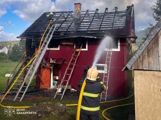 Бабуся з онукою дивом врятувалися у пожежі на Рахівщині