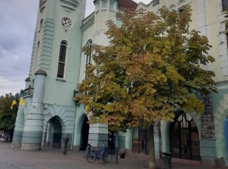 У міськраді розповіли, за що оштрафували мукачівця