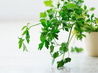 Рецепт дня: зелений борщ, який сподобається усім