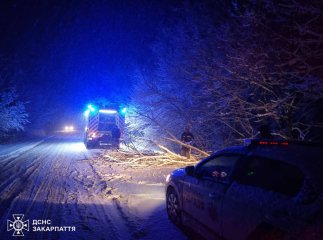 Рятувальники розповіли про наслідки снігової негоди на Закарпатті