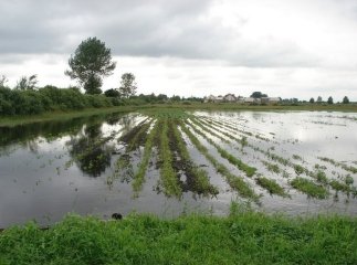 Синоптики попереджають про можливі підтоплення в деяких районах