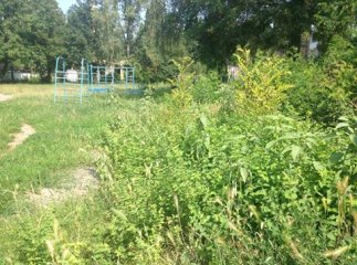 У Мукачеві муніципальні поліцейські склали два протоколи на обслуговуючу компанію за неналежне утримання прибудинкових територій