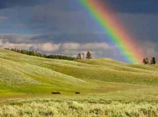 Яке сьогодні свято