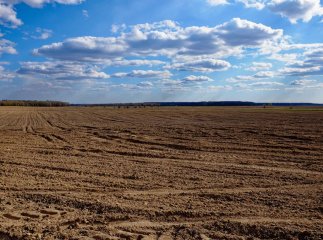 Ціни на землю змінились: названо нову вартість 1 гектара у різних областях