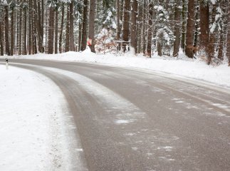 Якою буде погода у перший тиждень грудня на Закарпатті