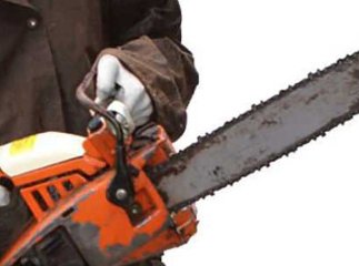 15-річна дівчина вкрала у сусіда бензопилу