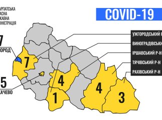 Де у Закарпатті хворіють на коронавірус: карта поширення
