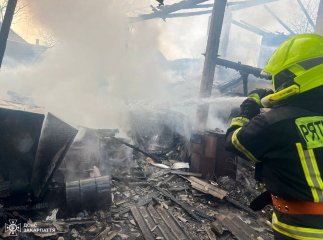 Автомобіль згорів, а живність врятували: на Ужгородщині вирувала пожежа