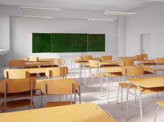 У школі на Закарпатті жорстоко побили дівчину