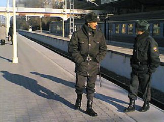 На Закарпатті транспортна міліція спіймала злочинців