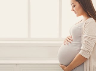 Виплати на дитину відновили, – ЗМІ