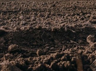 В одному із сіл зсув ґрунту може призвести до руйнування будинку