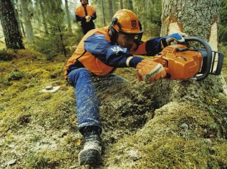 На Закарпатті відбудеться змагання найкращих вальщиків лісу