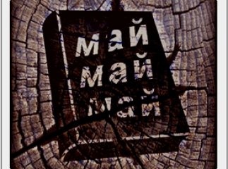 Закарпатська область входить у трійку регіонів, які щорічно наповнюють Книгу рекордів України новими записами