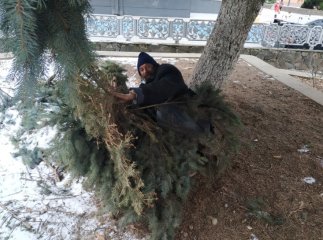 Спав у центрі Мукачева під гілками: із чоловіком трапилась біда