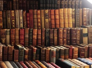 В Ужгороді розкажуть про "родзинки" цьогорічного "Книга-фесту"