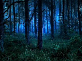 Вночі в одній із громад шукали дівчинку, яка пішла в ліс і заблукала