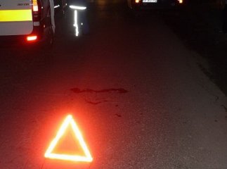 На трасі Київ-Чоп прямо під час руху на мікроавтобус впало дерево. Пасажира забрала "швидка"