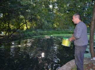 Тячівська родина вже майже 6 років вирощує осетра для бізнесу (ФОТО)
