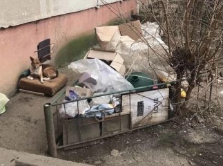 У Мукачеві чоловік влаштував сміттєзвалище під вікнами багатоповерхівки У Мукачеві чоловік влаштував сміттєзвалище під вікнами багатоповерхівки