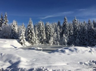 Зимова казка: мережею ширяться неймовірні світлини гір Закарпаття