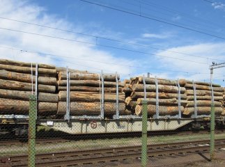 Власник затриманого у Чопі лісу стверджує, що в Україні працює легально