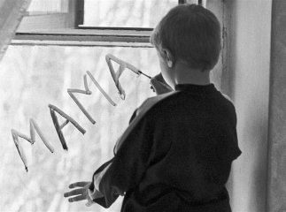 У Мукачеві на обліку перебуває 37 дітей-сиріт