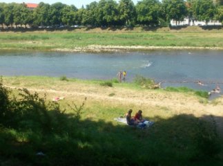 В Ужгороді всього одна офіційна зона відпочинку біля води, а купатись в Ужі категорично заборонено