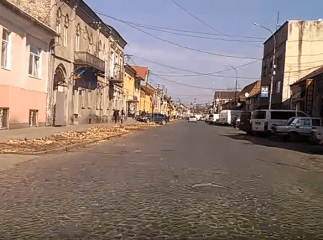 Дерева на вулиці Духновича у Мукачеві вирізали під чисту