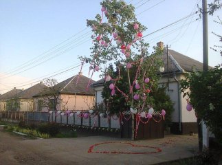 Берегівські парубки оригінально зізнаються дівчатам у коханні (ФОТО)
