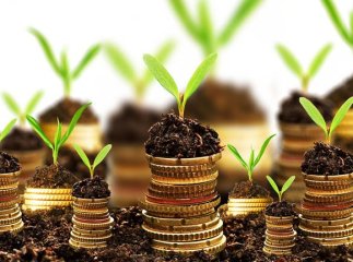 Більше 39 мільйонів гривень у місцевому бюджеті Закарпаття – плата за використання землі