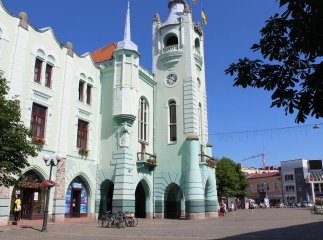 Мукачівську ратушу прикрасили квітами