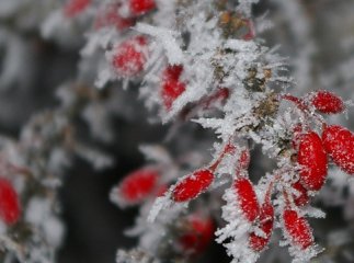 Синоптики розповіли, якою буде погода до кінця грудня